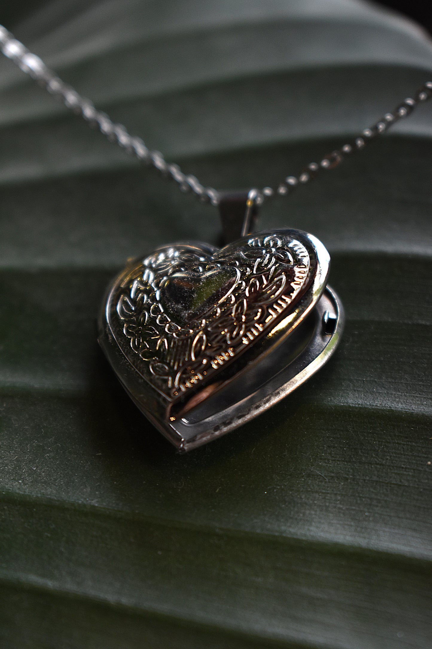 Moonlit Heart Locket ~ Silver