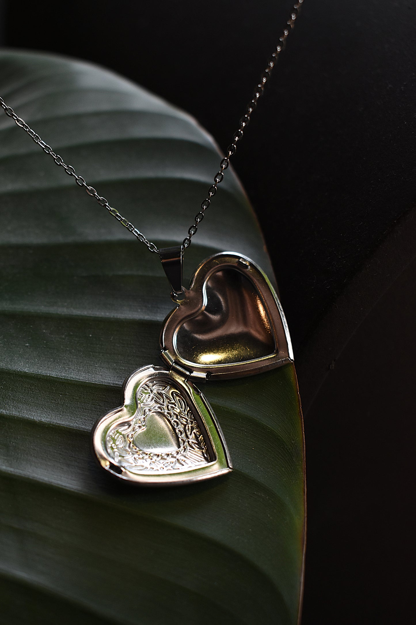 Moonlit Heart Locket ~ Silver