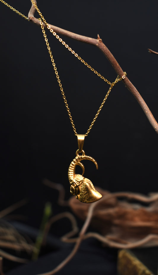 Capricorn Necklace - The Zodiac Collection