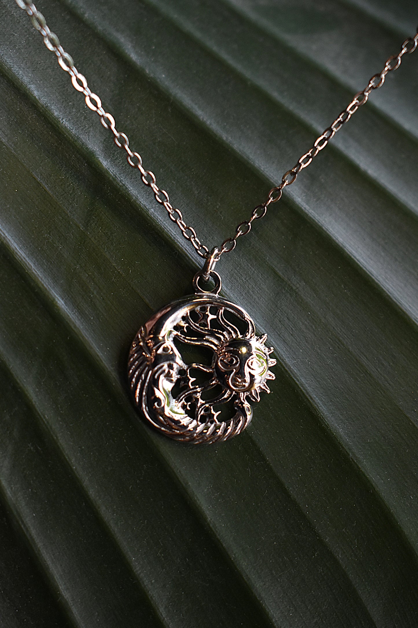 Eternal Eclipse Necklace ~ Silver