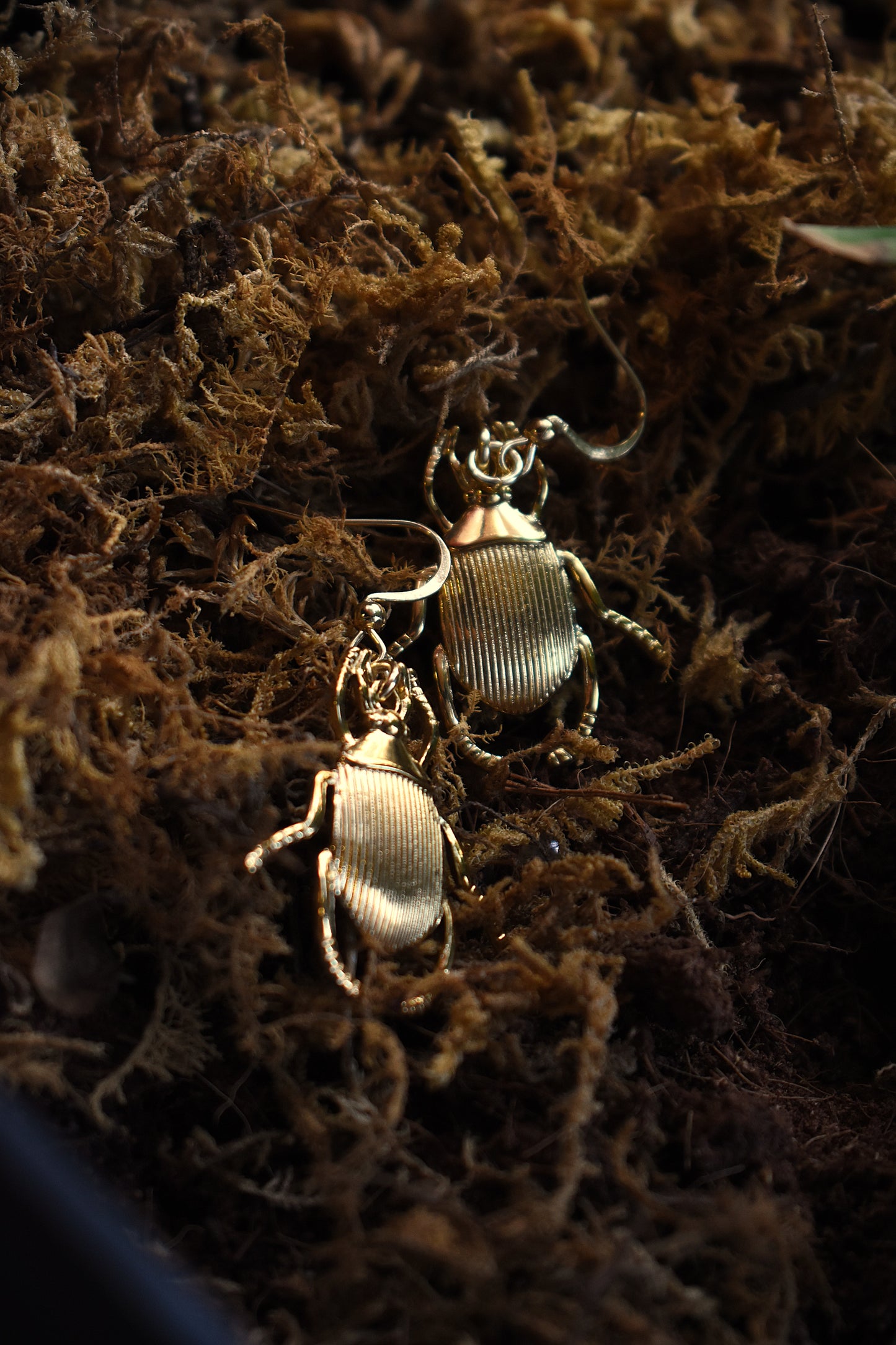 Sacred Scarab Earrings ~  Gold