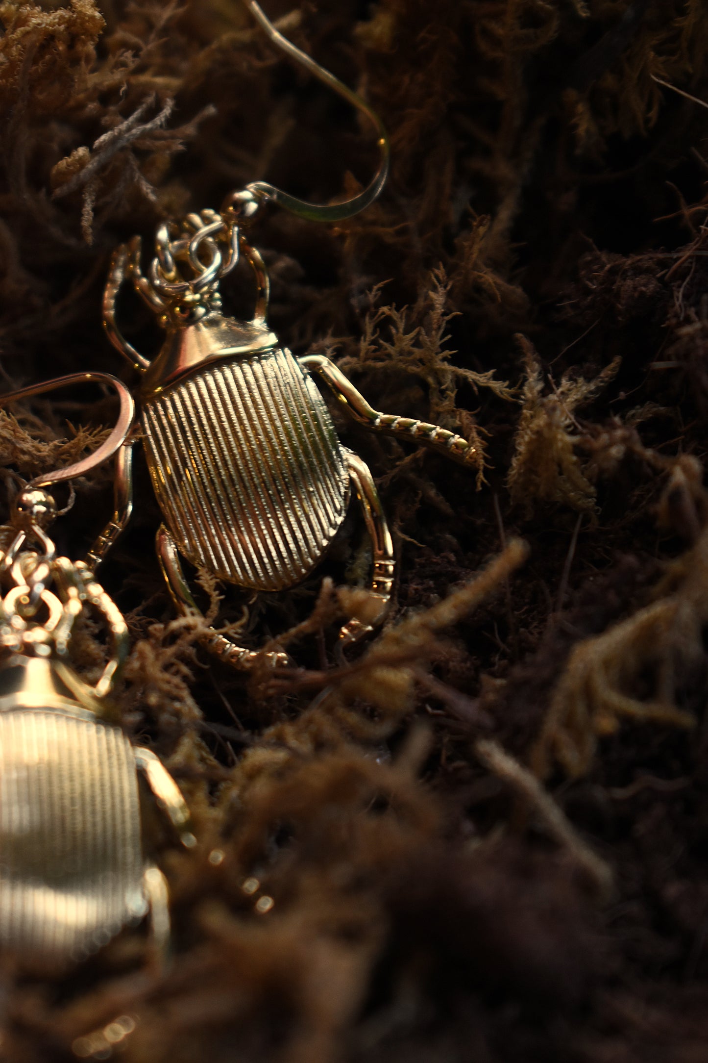 Sacred Scarab Earrings ~  Gold