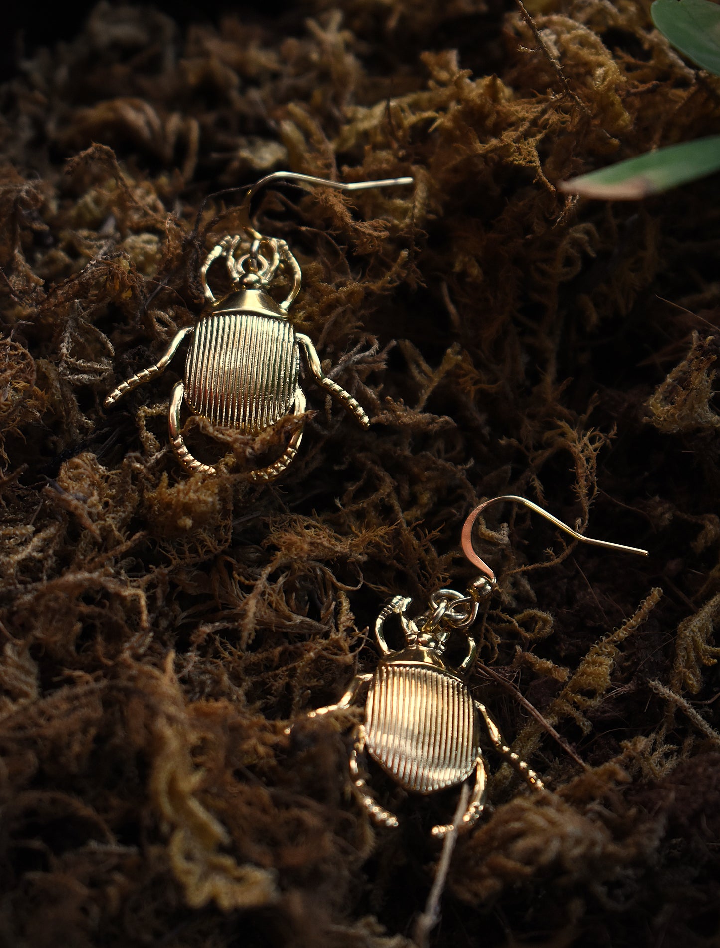 Sacred Scarab Earrings ~  Gold