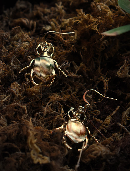 Sacred Scarab Earrings ~  Gold