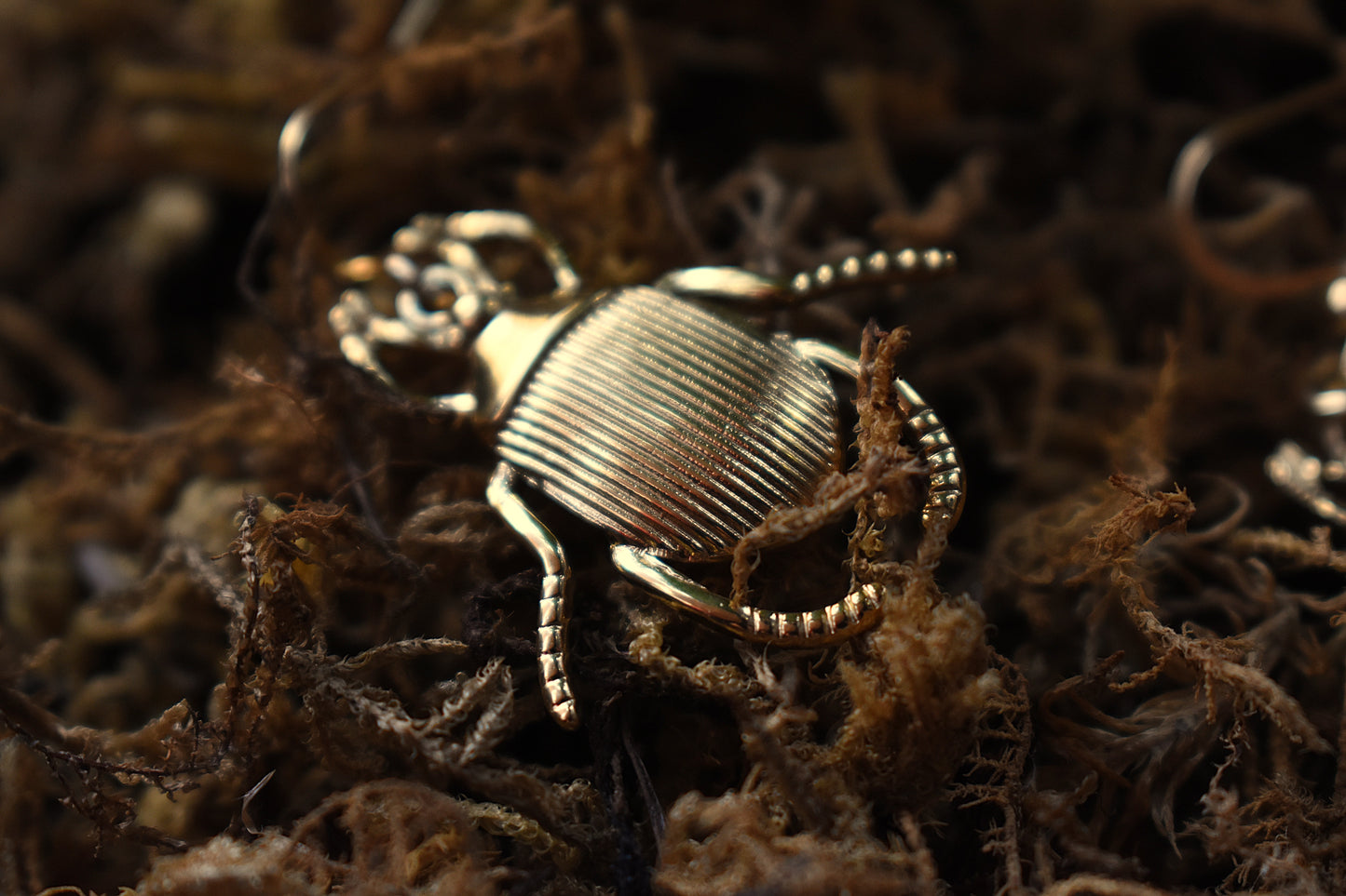 Sacred Scarab Earrings ~  Gold