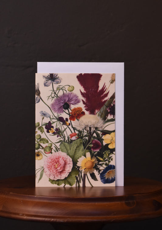 Tillius Card - Floral Cream