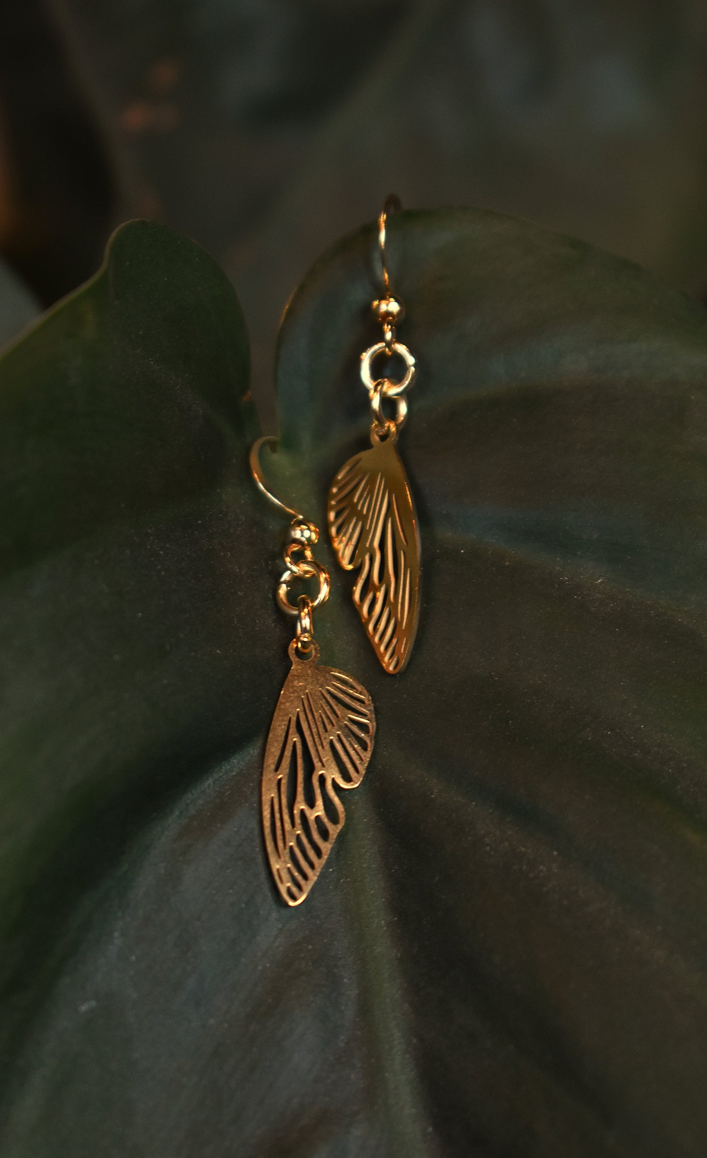 Gilded Fae Earrings ~ Gold