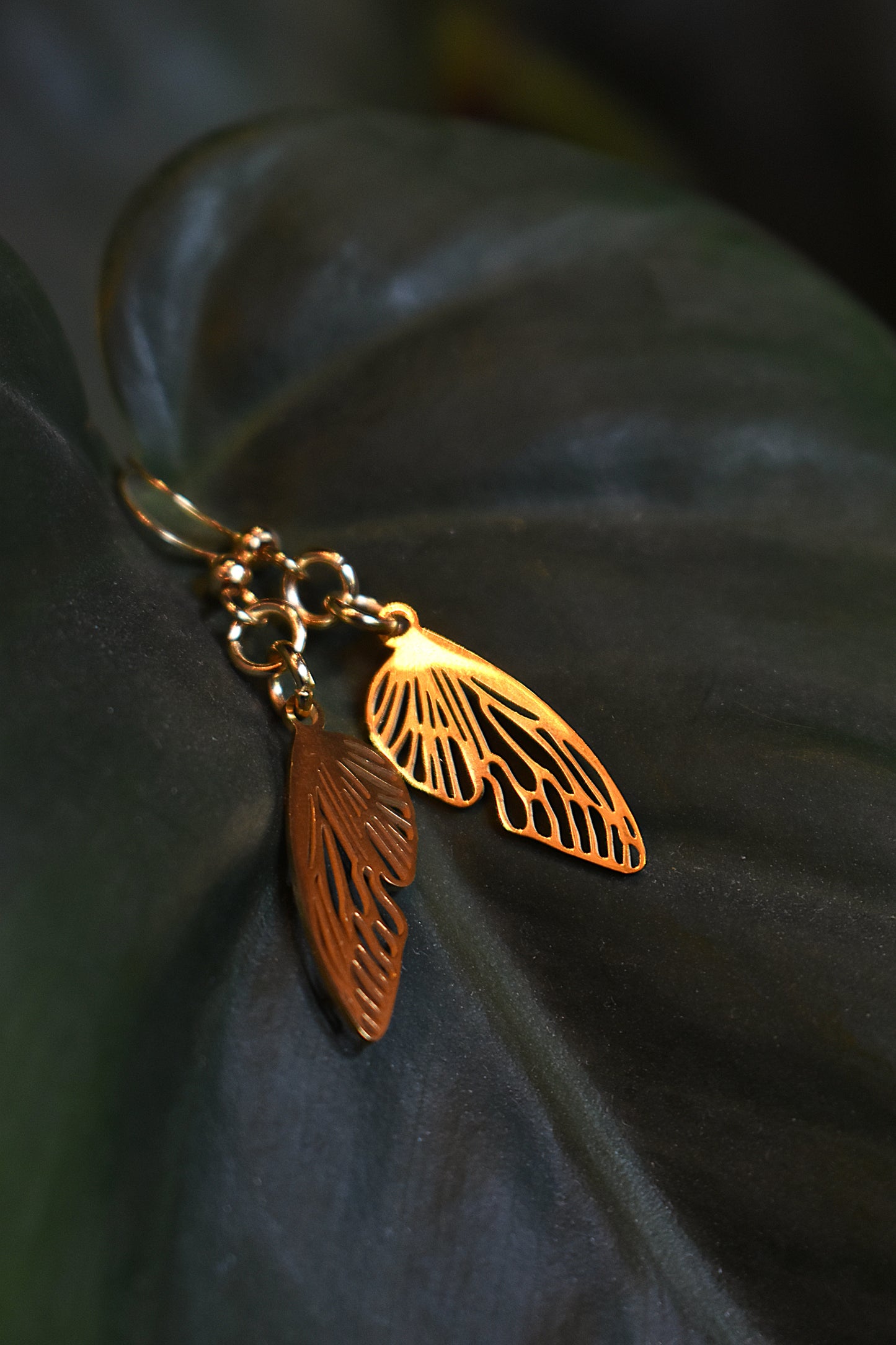 Gilded Fae Earrings ~ Gold