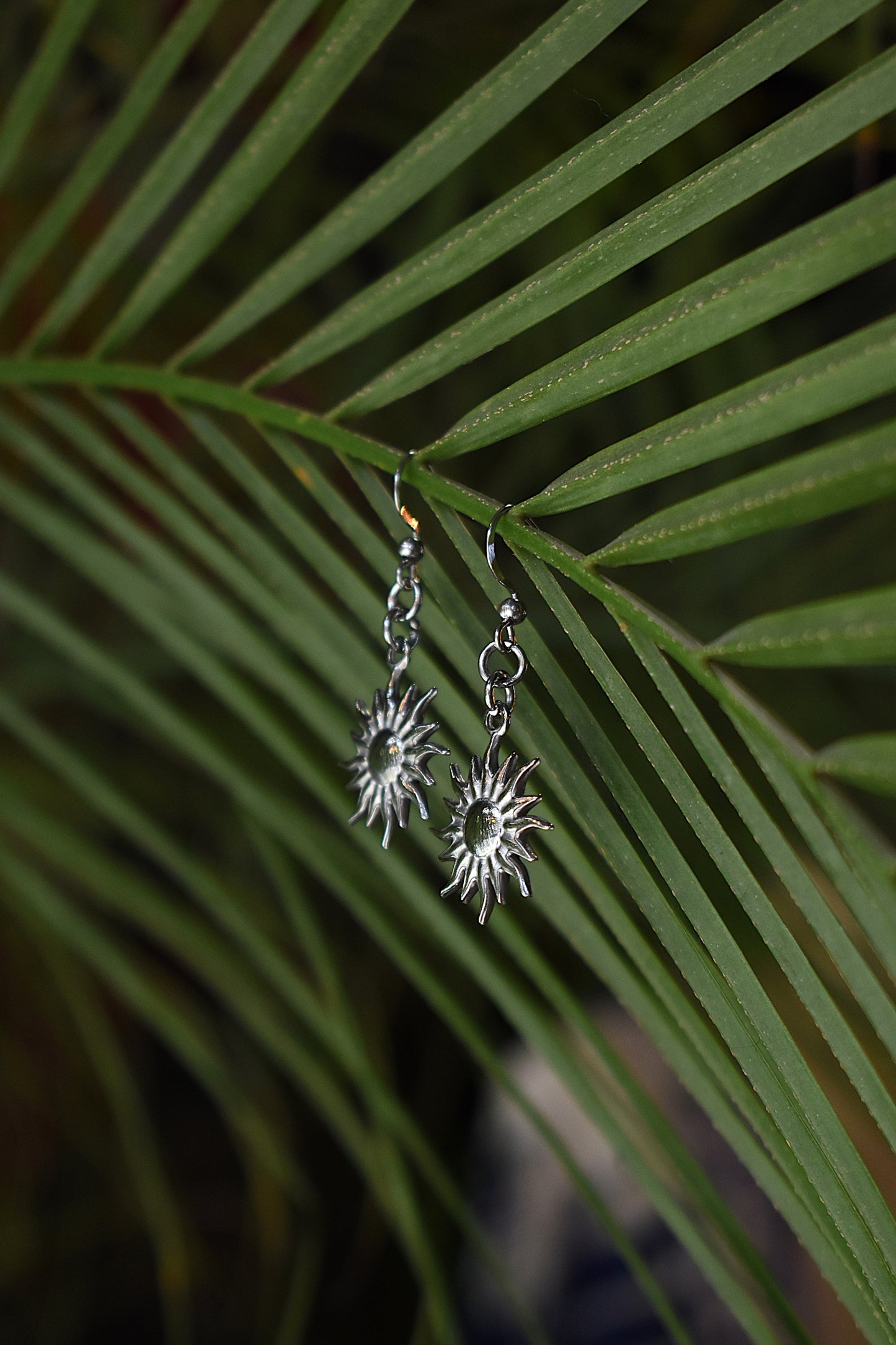Nocturne Halo Earrings ~ Silver