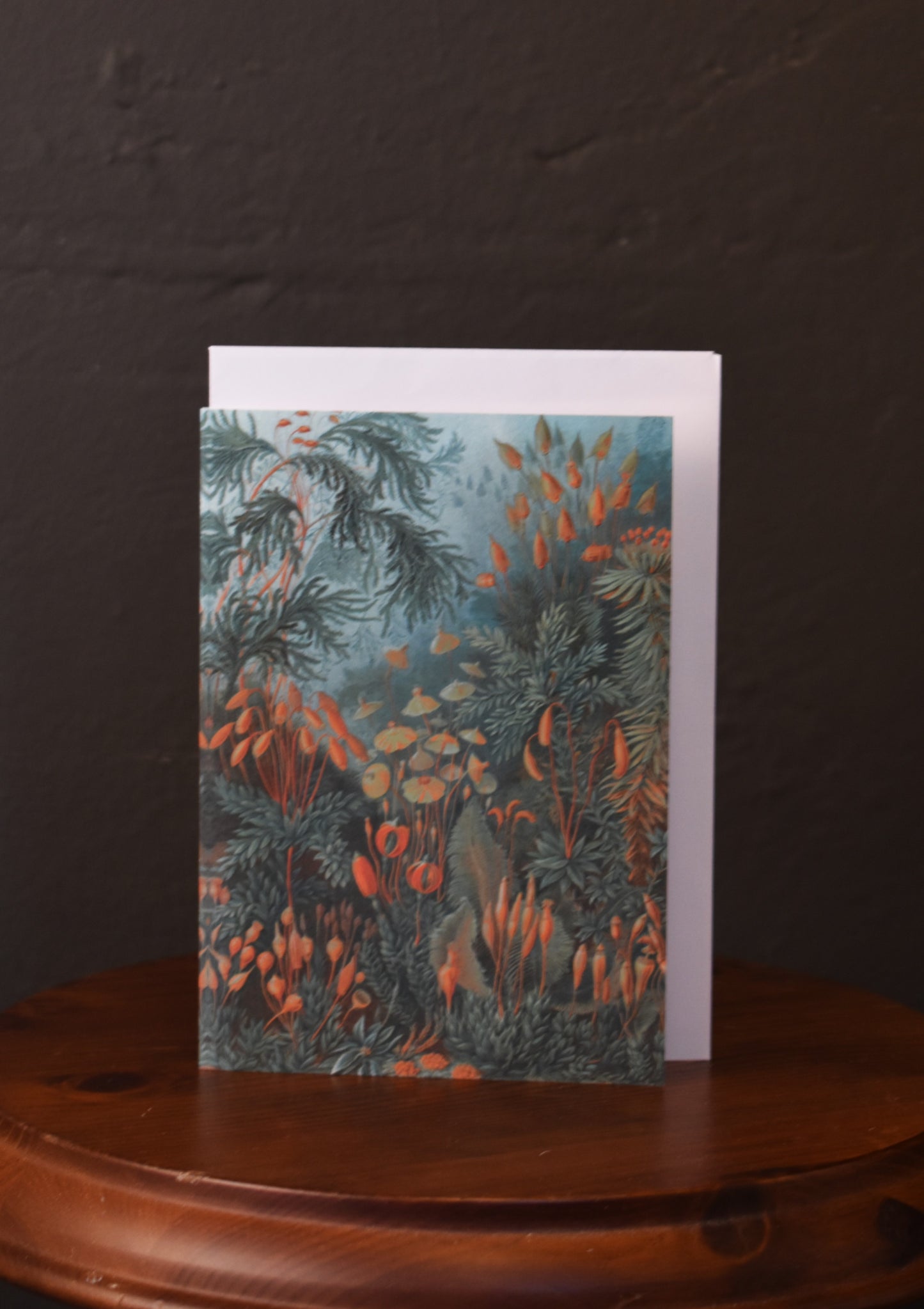 Tillius Card - Strange Plants