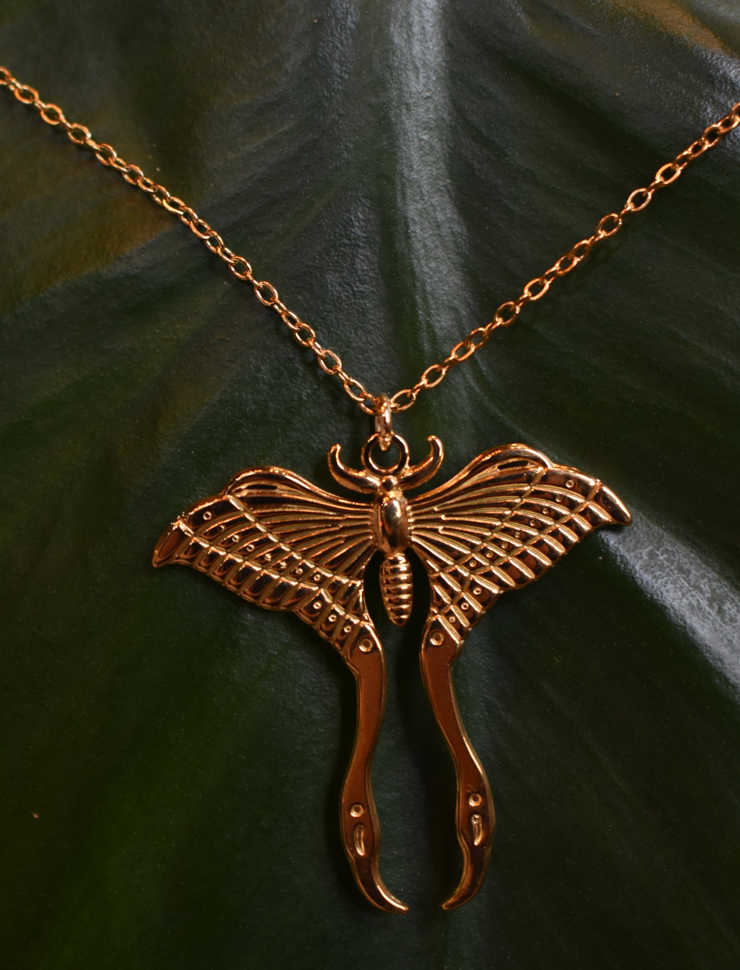 Luna Moth Necklace ~ Gold