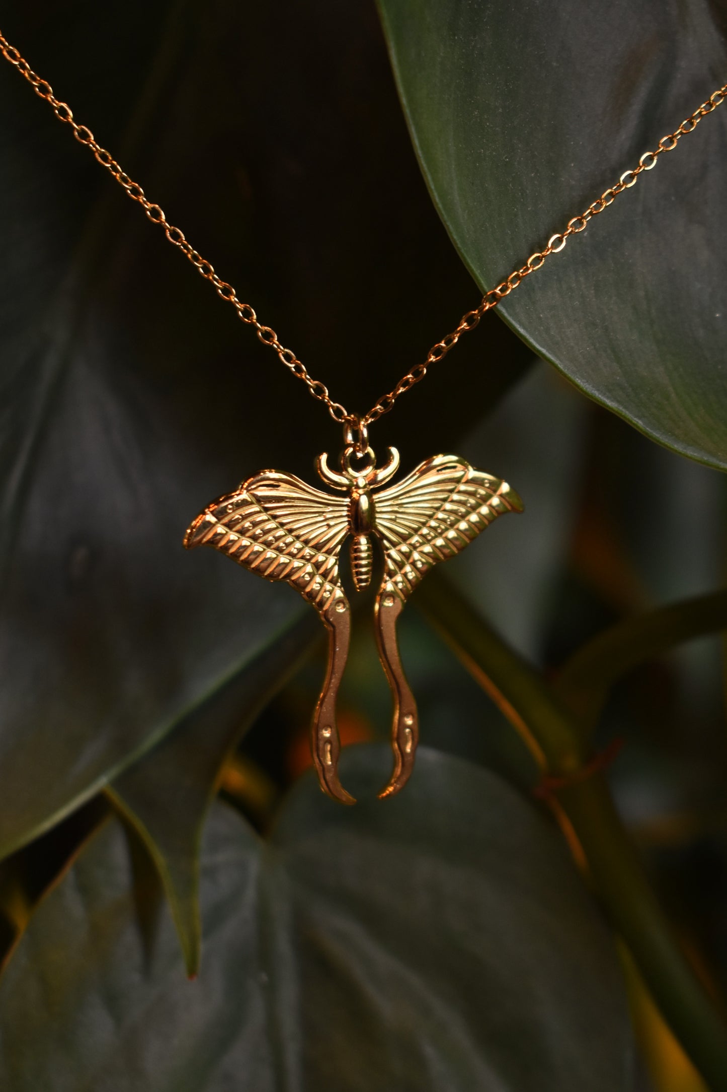 Luna Moth Necklace ~ Gold