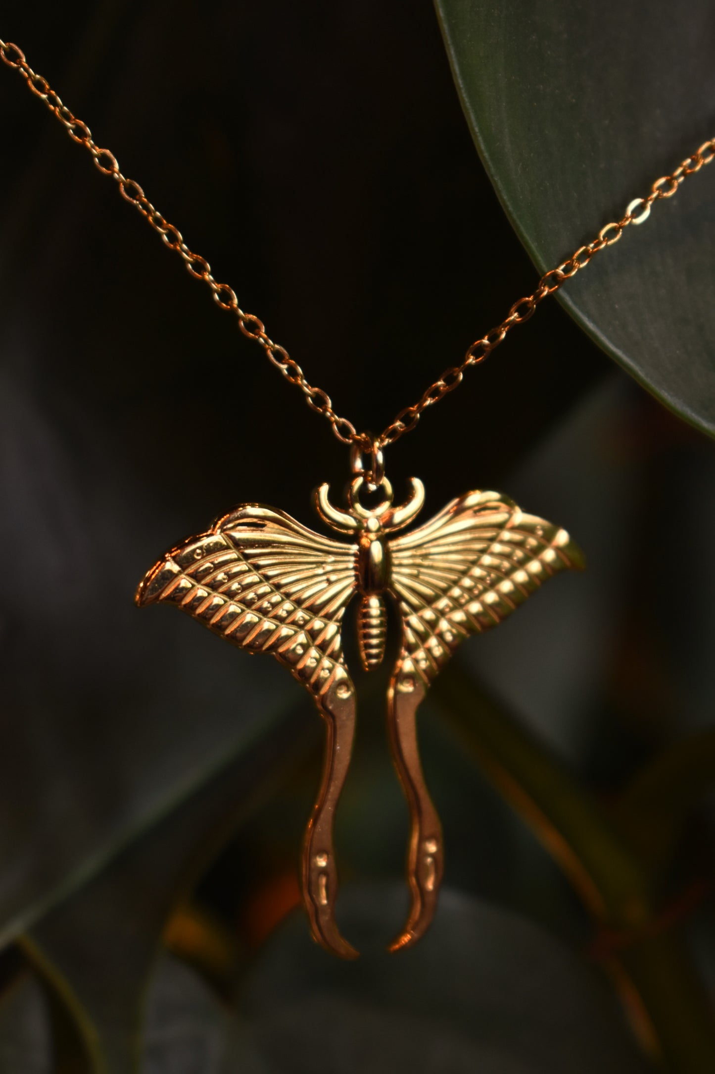 Luna Moth Necklace ~ Gold