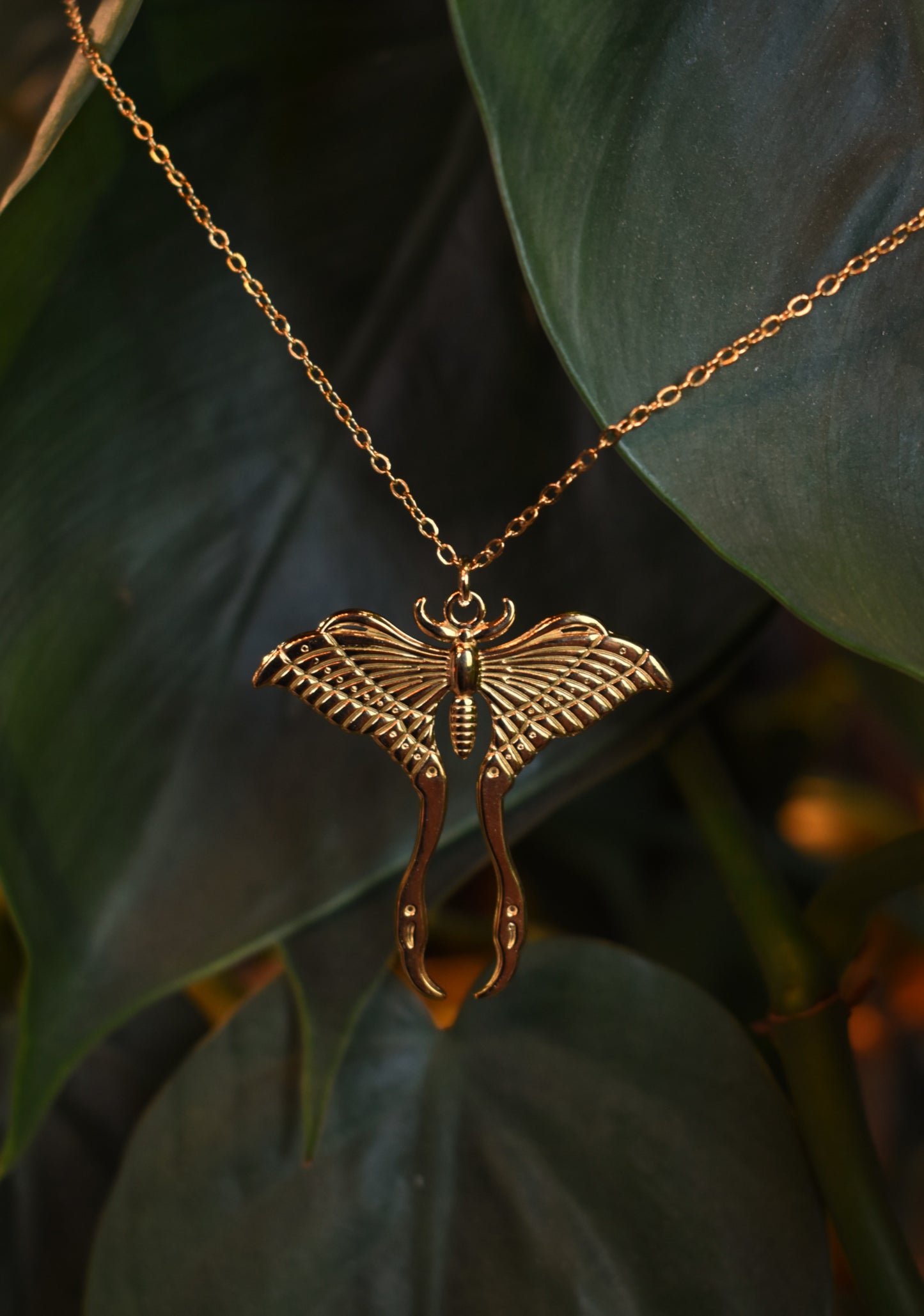 Luna Moth Necklace ~ Gold