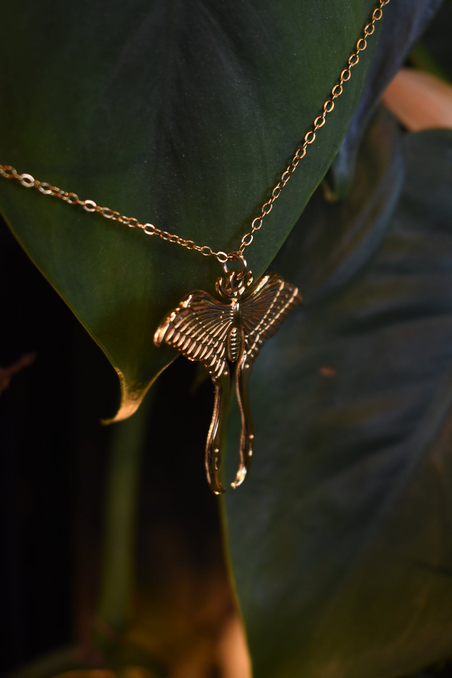 Luna Moth Necklace ~ Gold