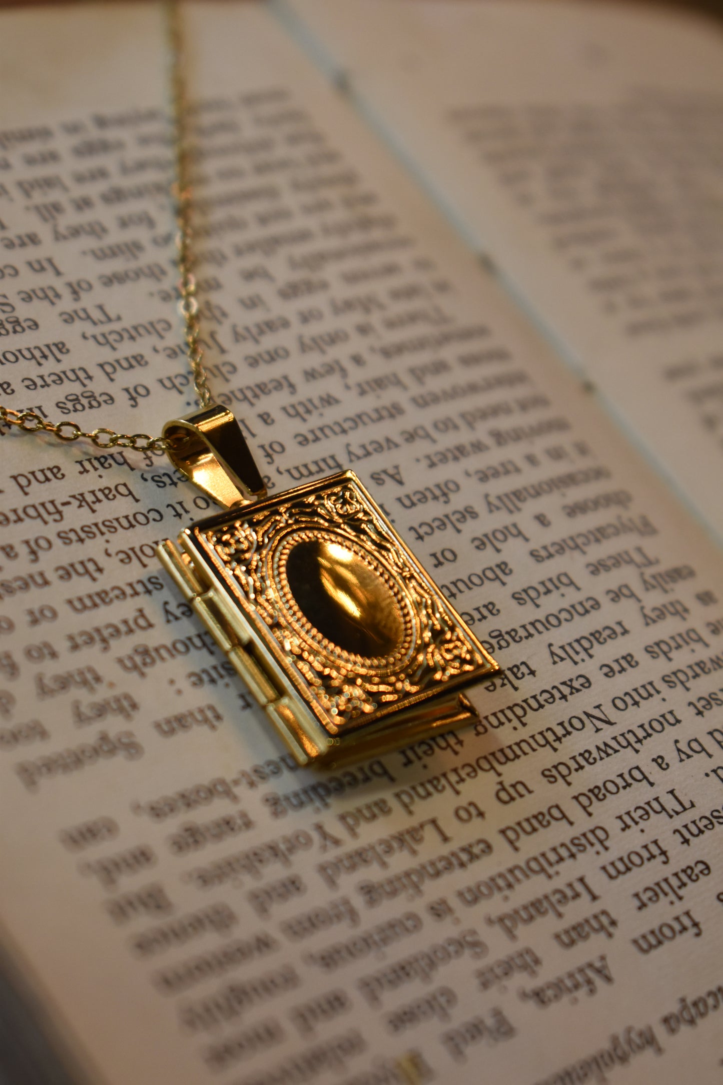The Book Of Secrets Necklace ~ Gold