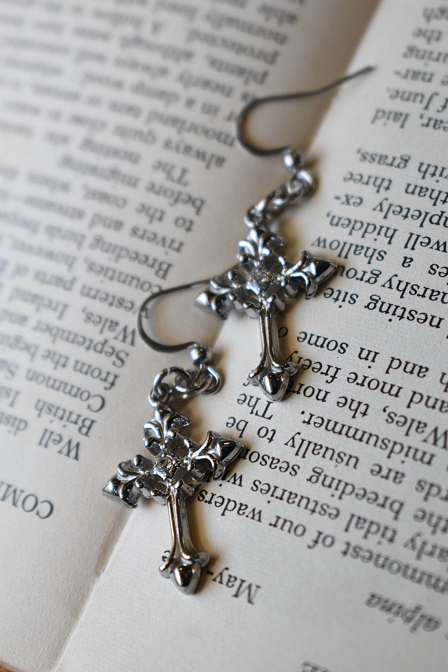 Sacred Relic Earrings ~ Silver