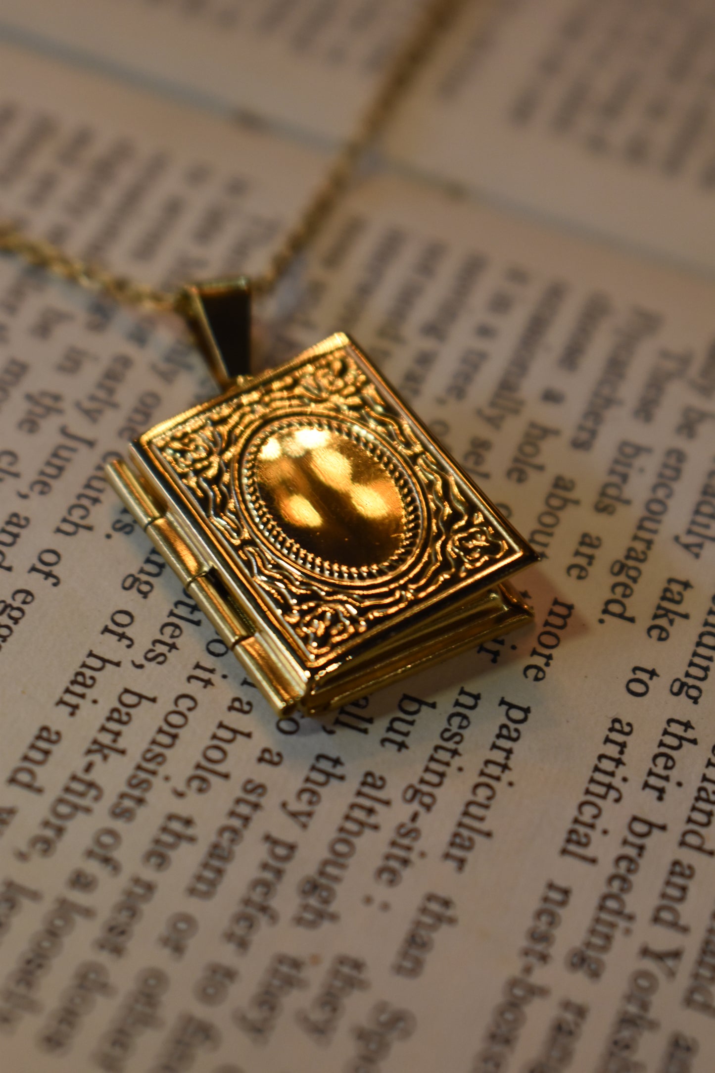 The Book Of Secrets Necklace ~ Gold