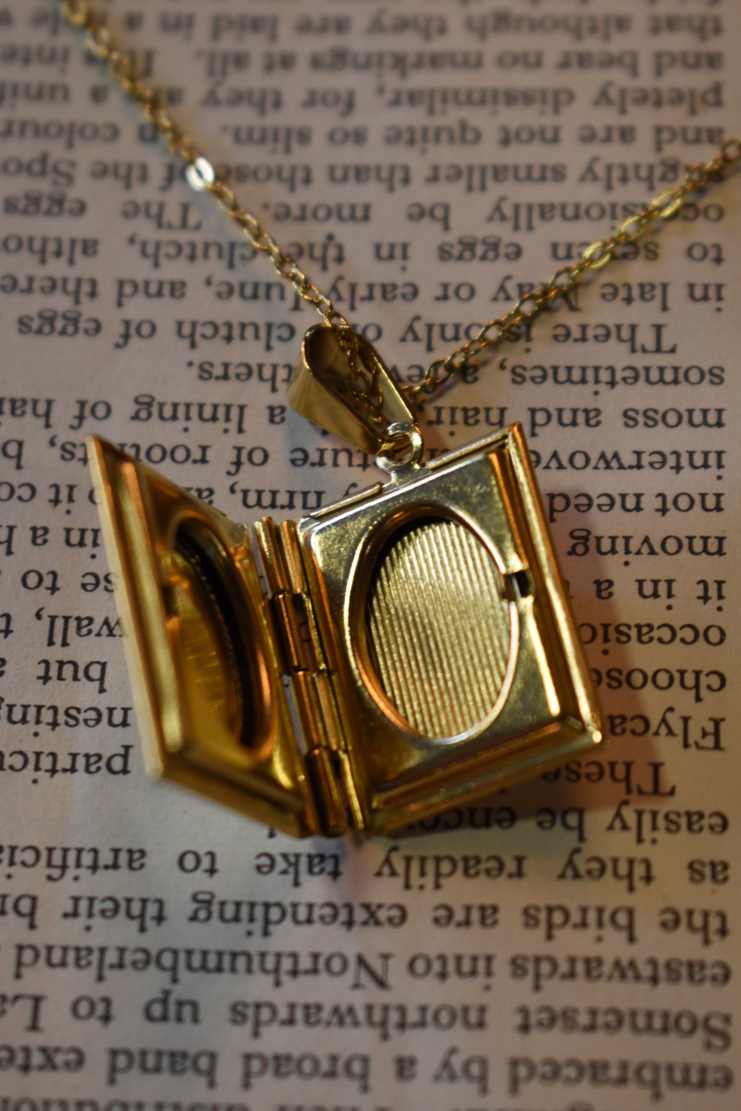 The Book Of Secrets Necklace ~ Gold