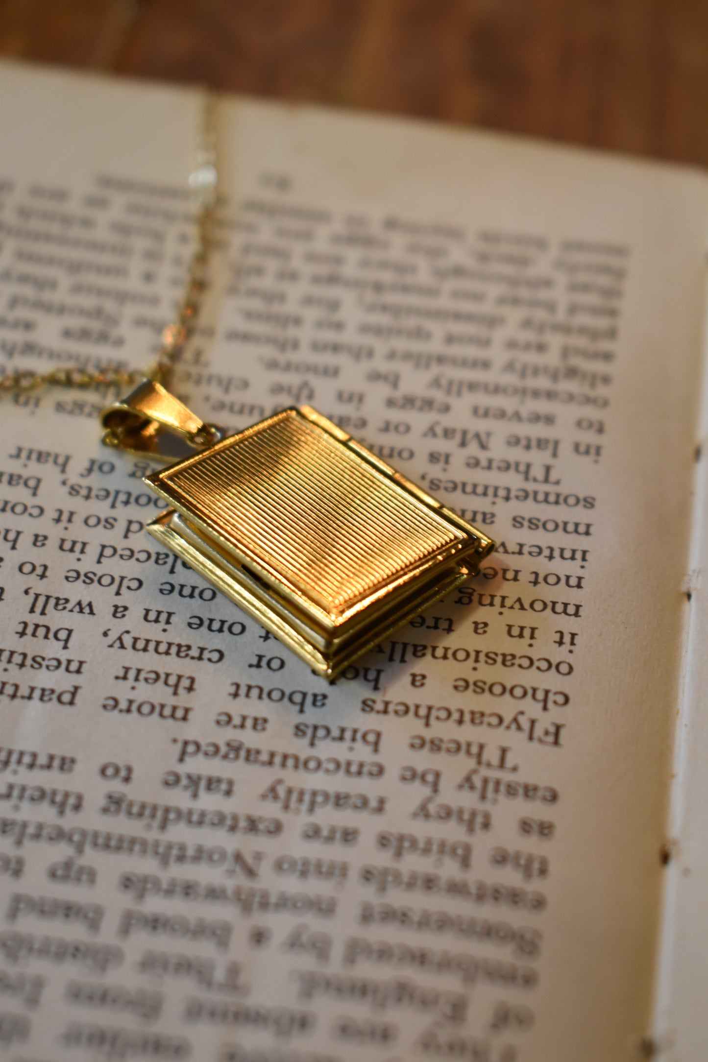 The Book Of Secrets Necklace ~ Gold