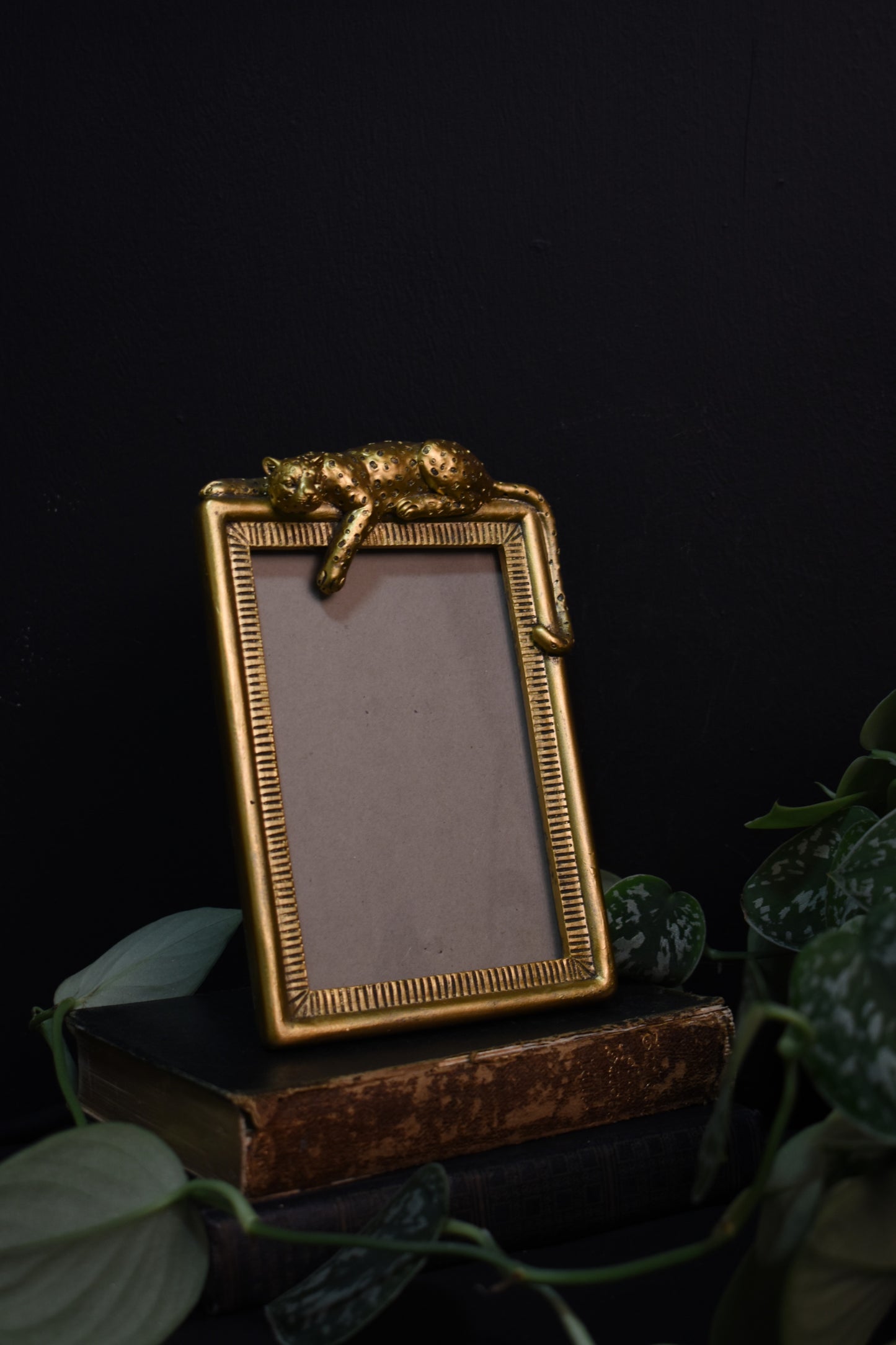 Leopard Photo Frame