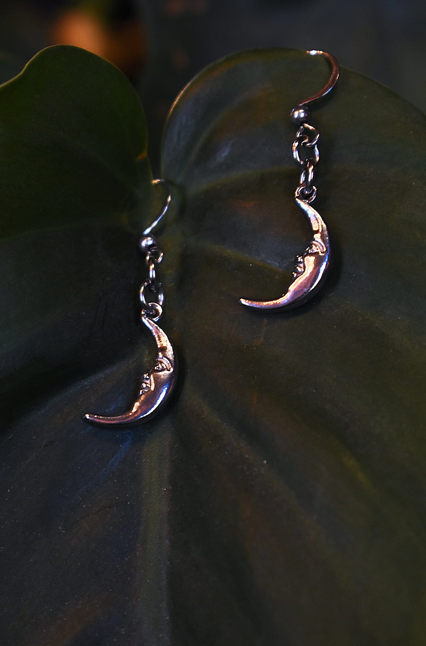 Lunaris Earrings ~ Silver