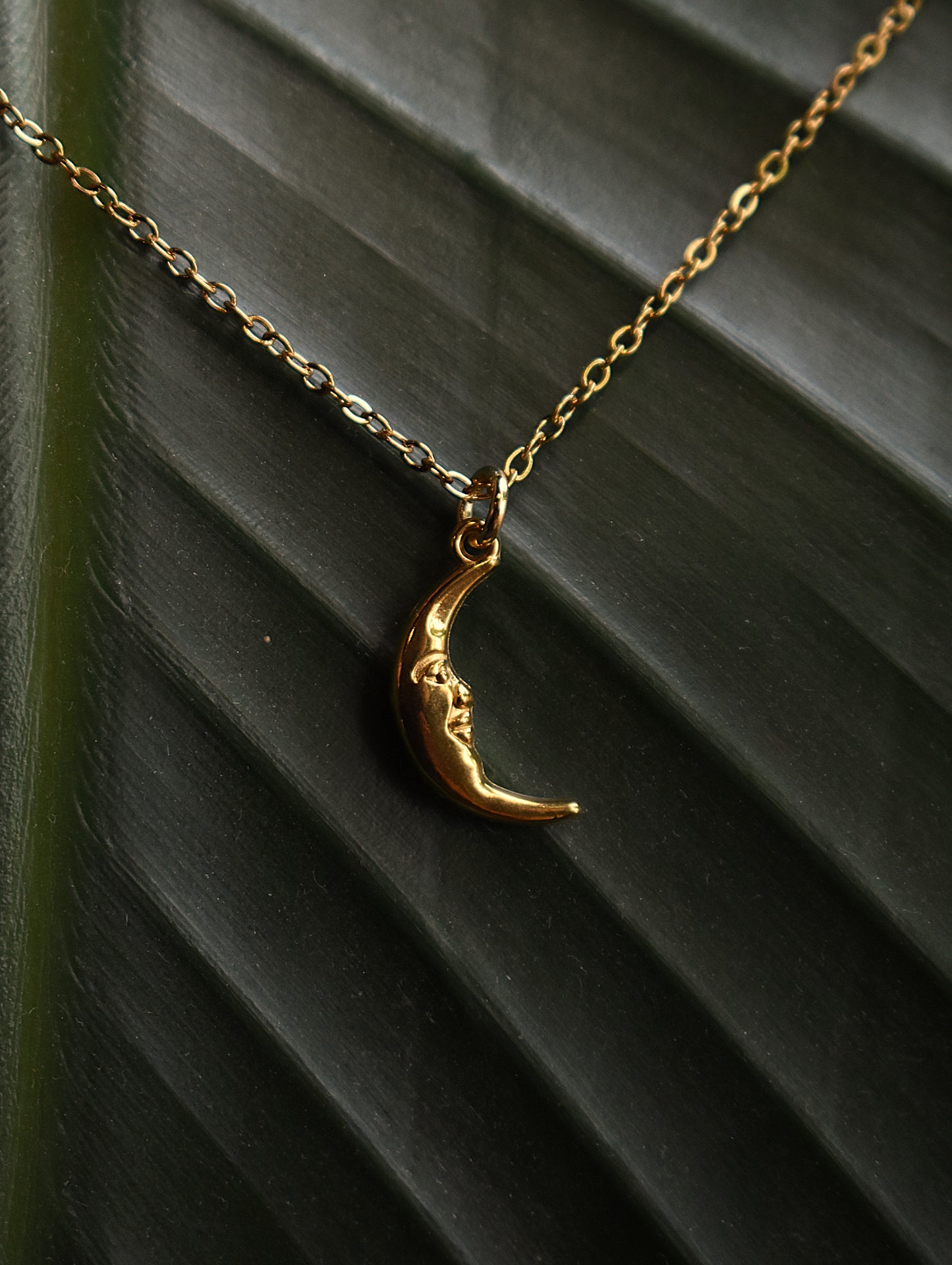 Moonfall Necklace ~ Gold