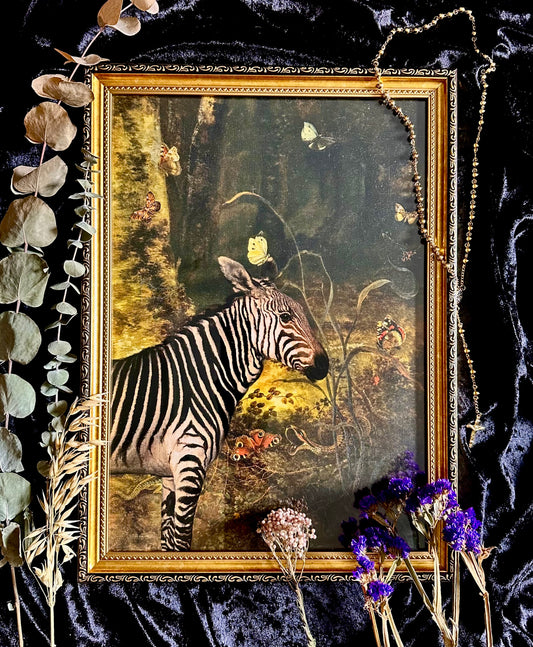 Zebra Nemus A3 Print