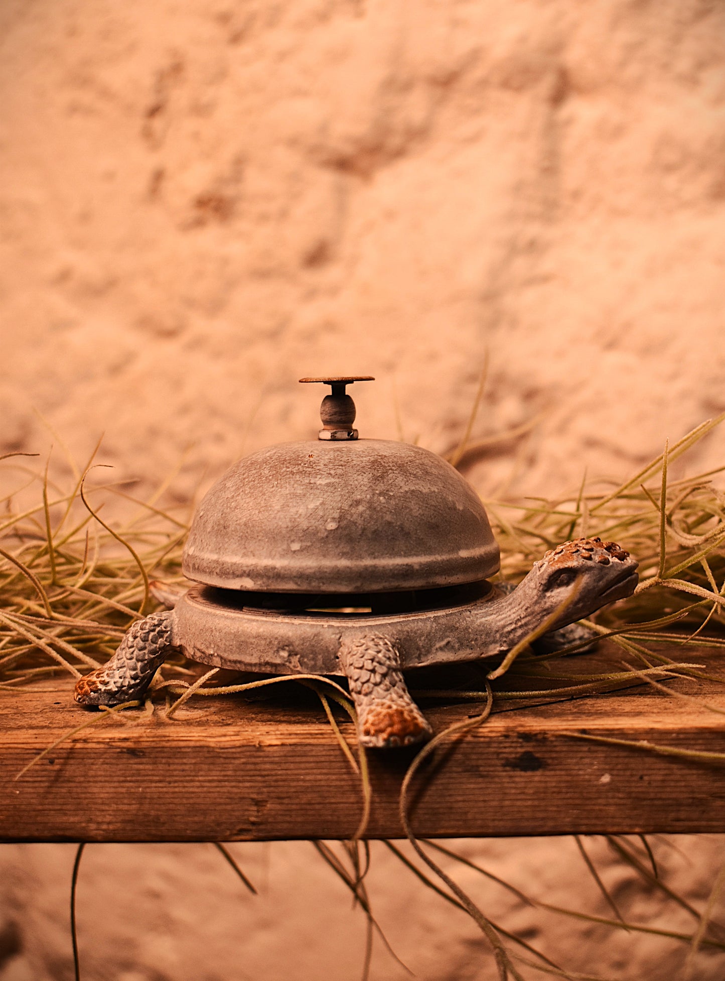 Grey Turtle Bell