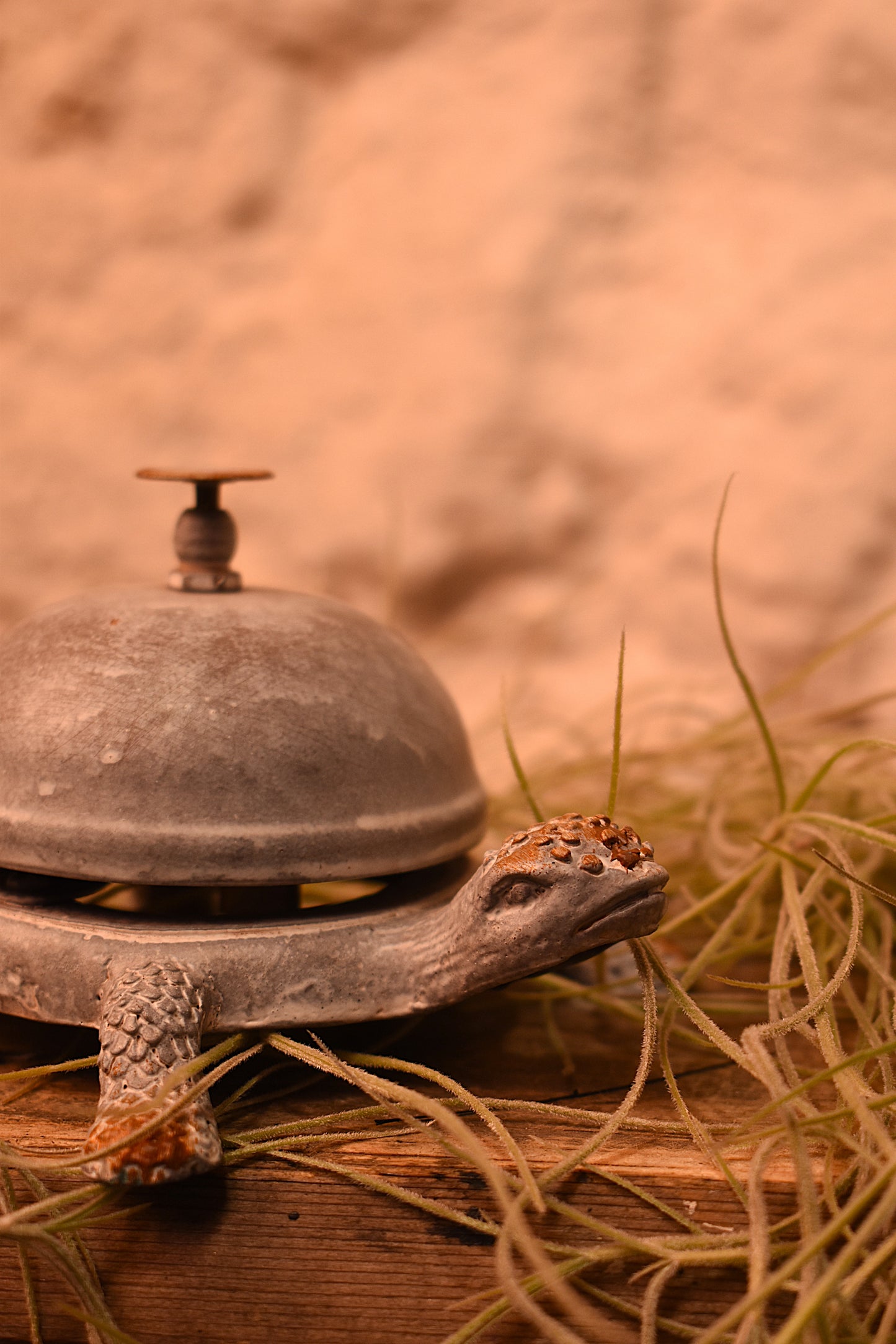 Grey Turtle Bell