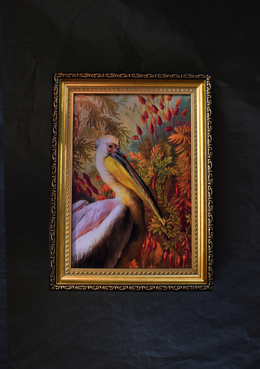 A5 Print 'Pelican'