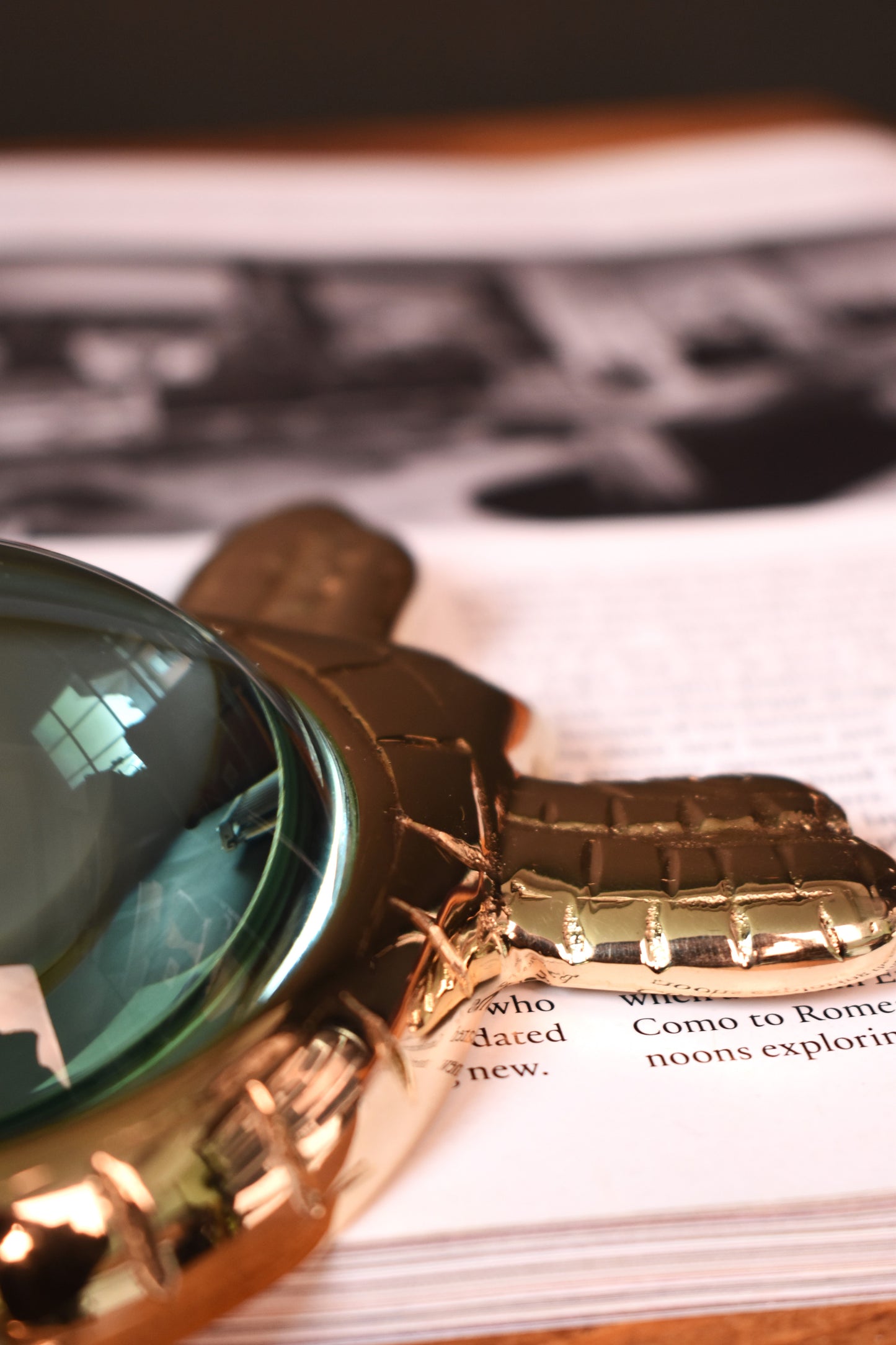 Giant Turtle Magnifying Glass