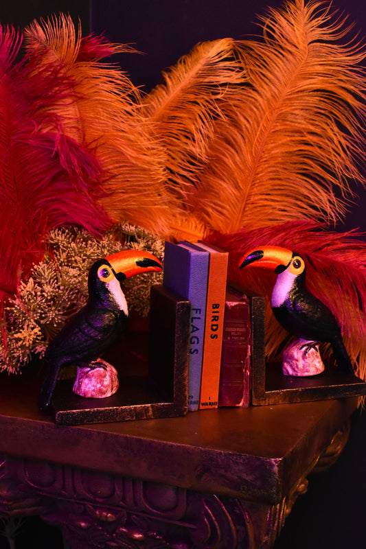 Cast Iron Toucan Bookends