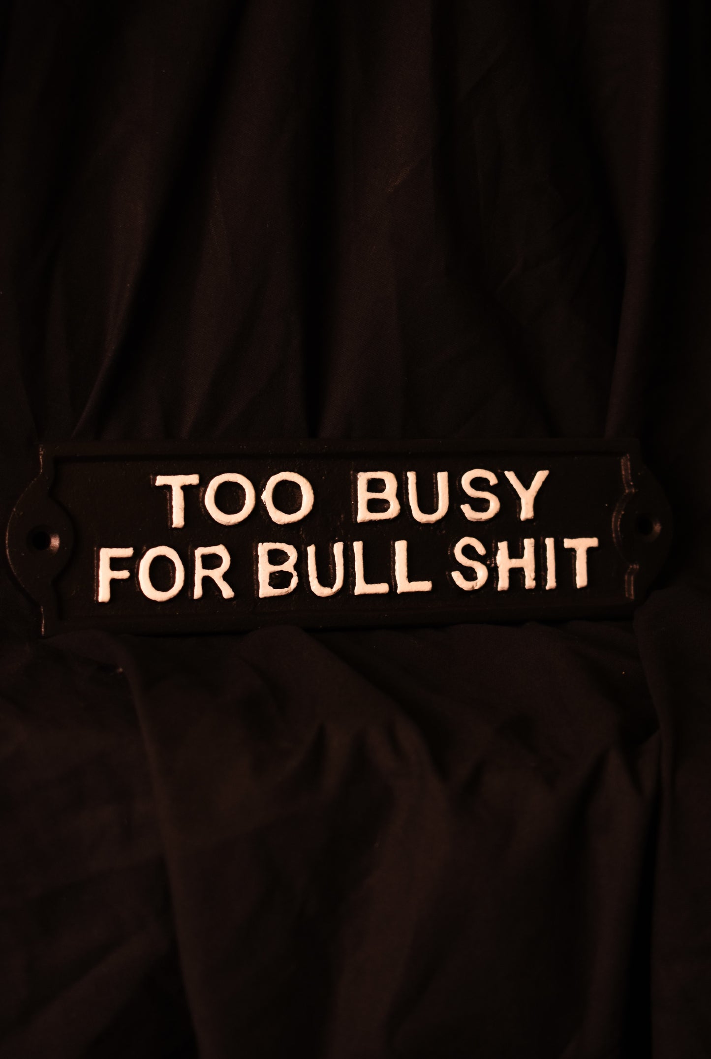 Too Busy For Bullshit Metal Sign