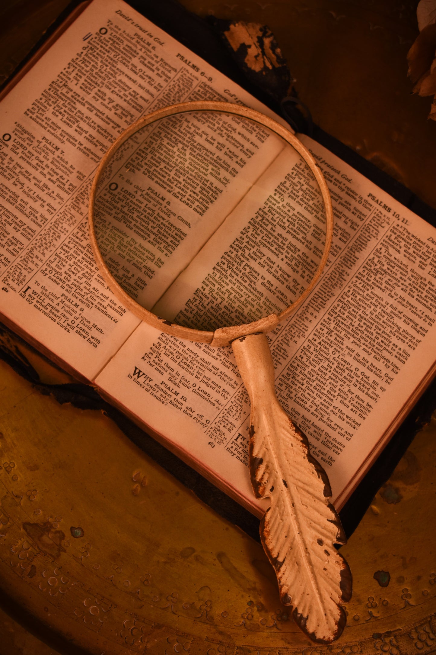 Rustic Feather Magnifying Glass