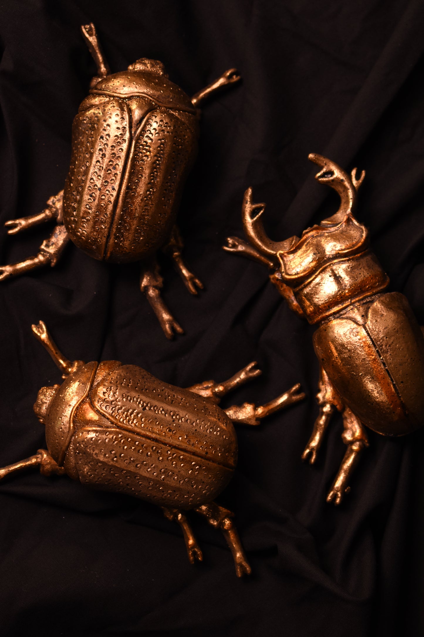 Set of Three Gold Wall Beetles