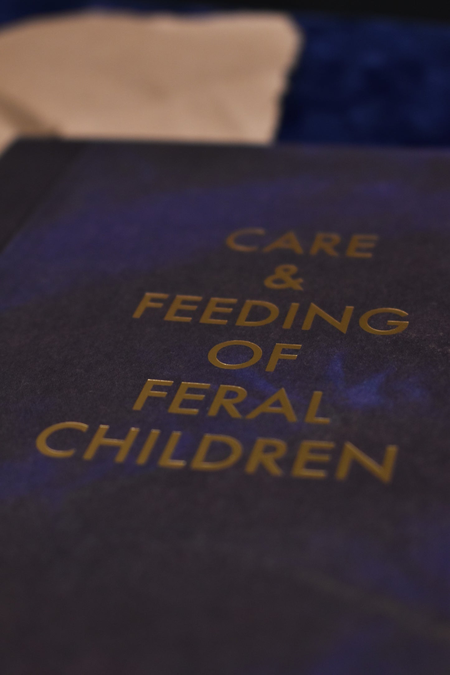 A5 Notebook 'Care and Feeding of Feral Children'