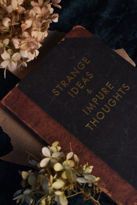 A5 Notebook 'Strange Ideas and Impure Thoughts'