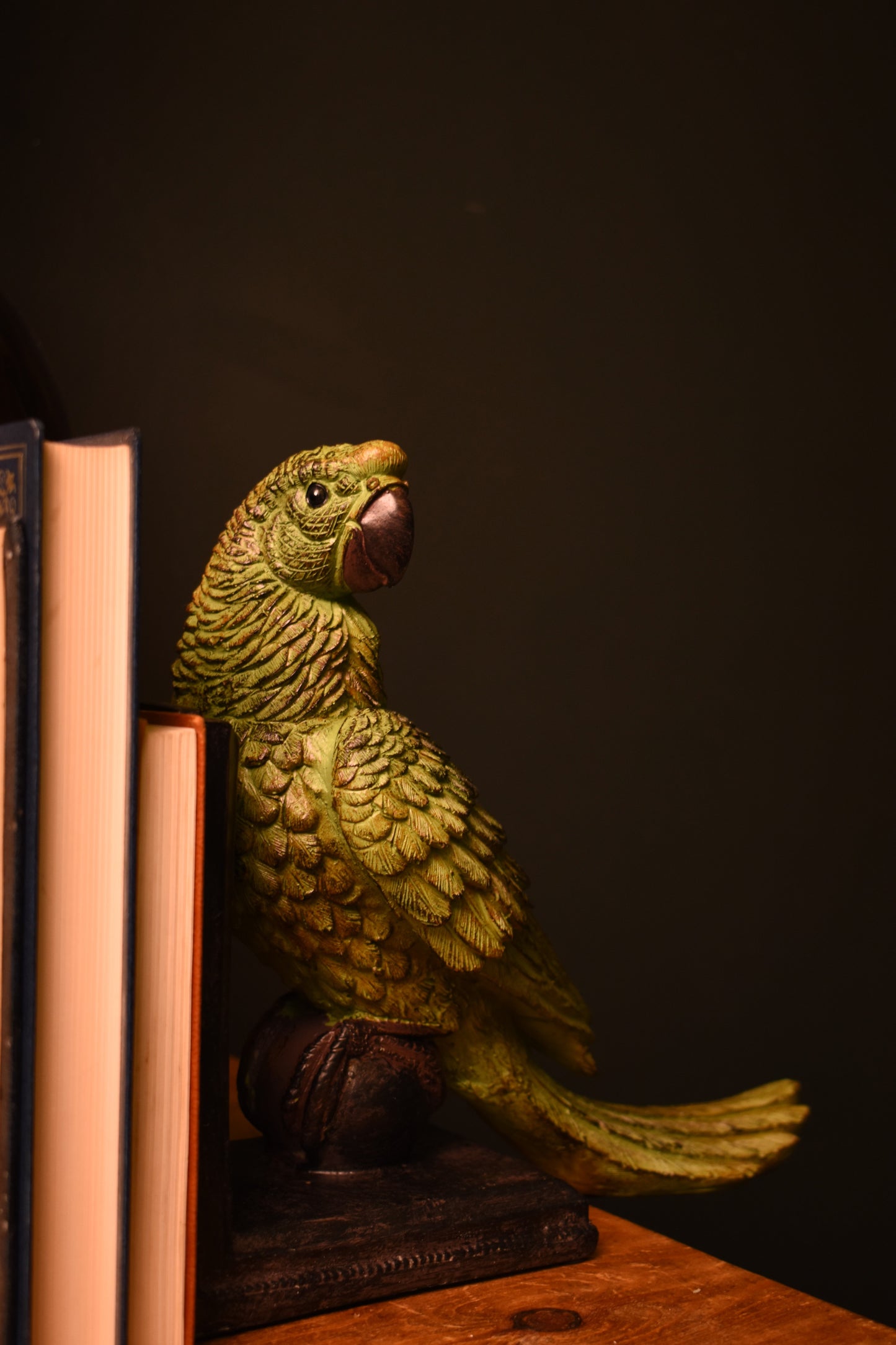 Green Parrot Book Ends