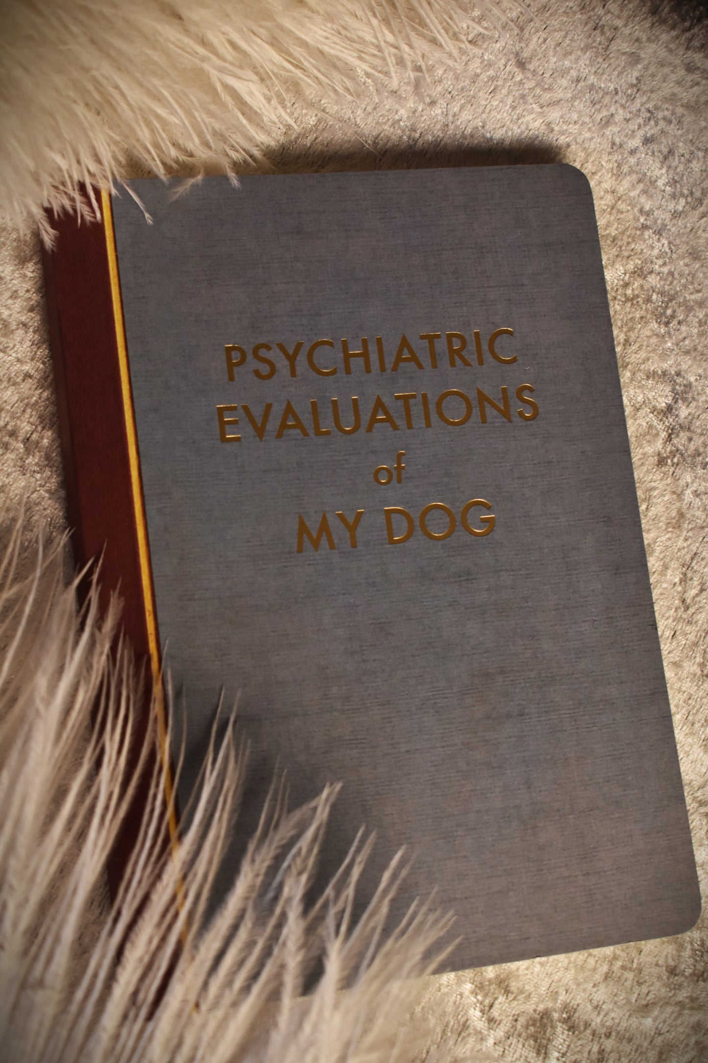 A5 Notebook 'Psychiatric Evaluations of My Dog'