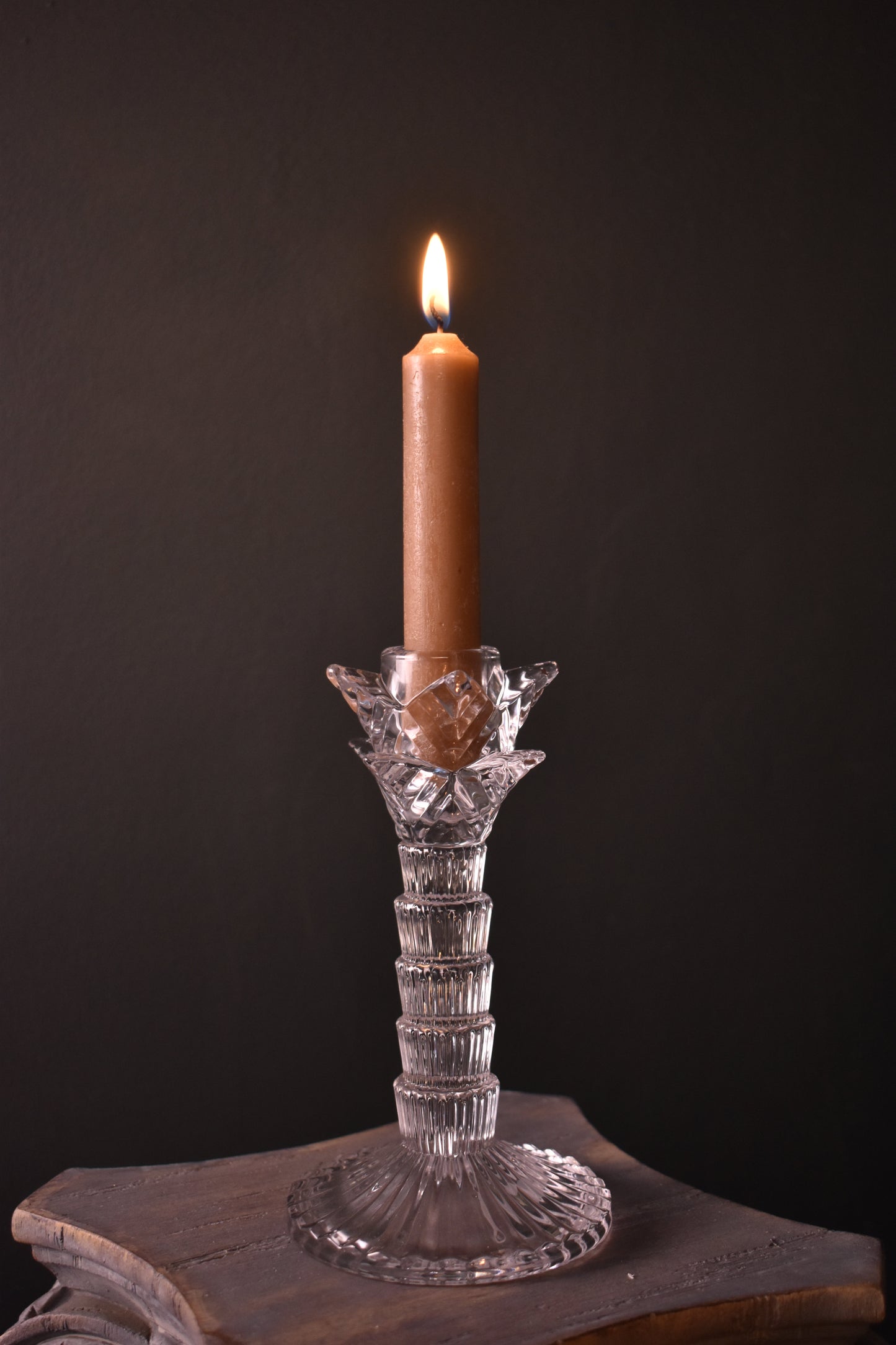 Palm Candle Stick Holder Clear