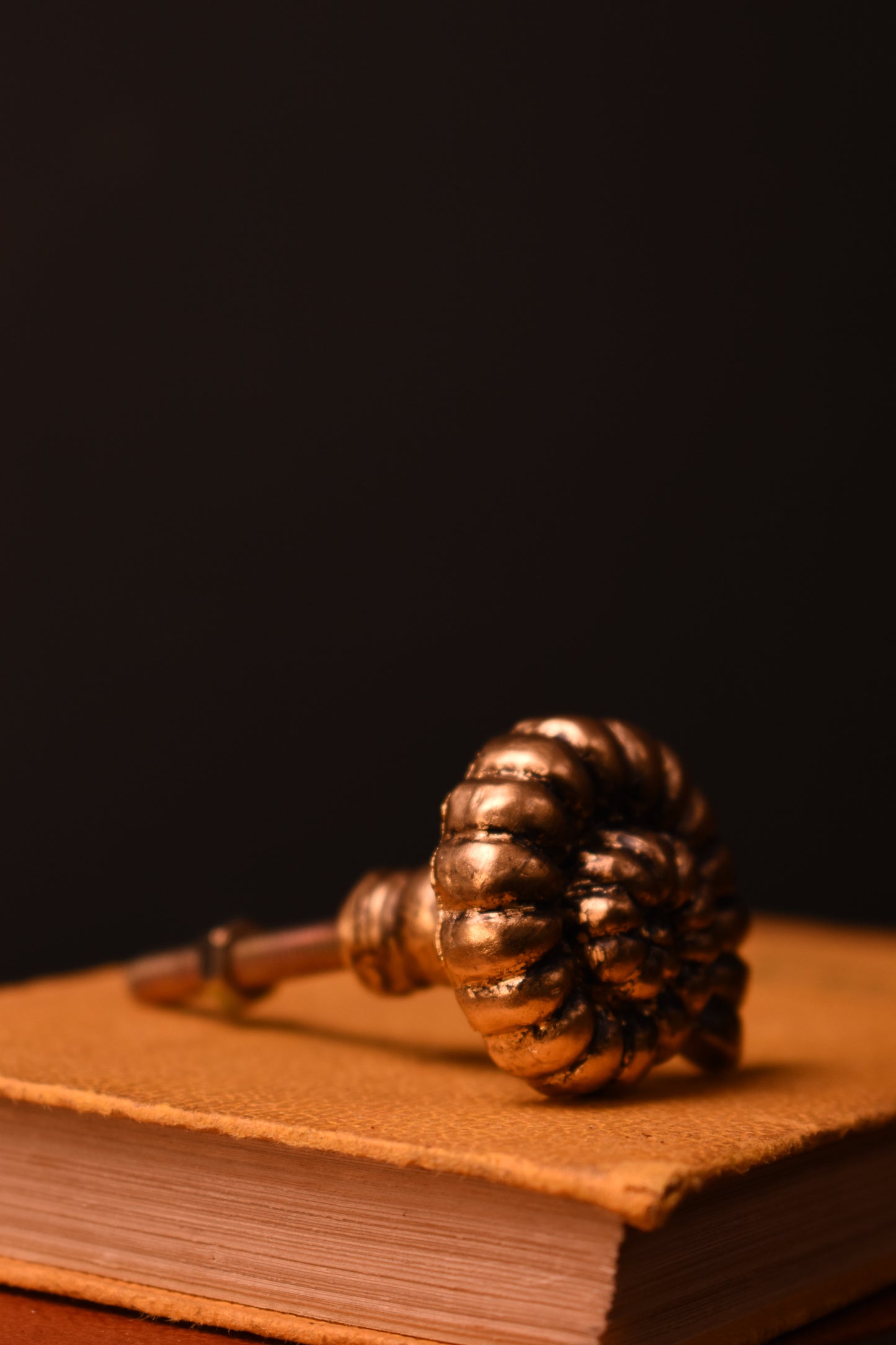 Gold Ammonite Knob